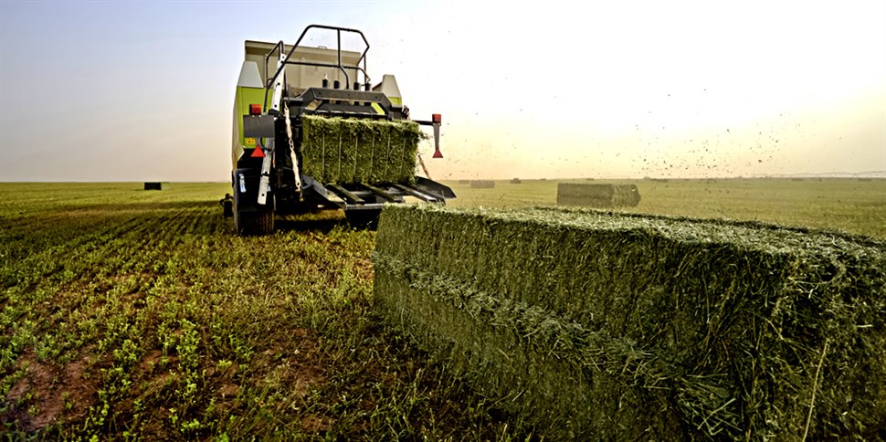 BALING